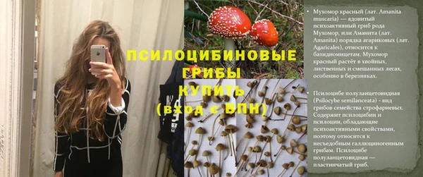 тгк Аркадак