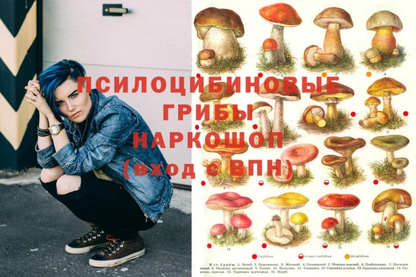 мяу мяу мука Армянск