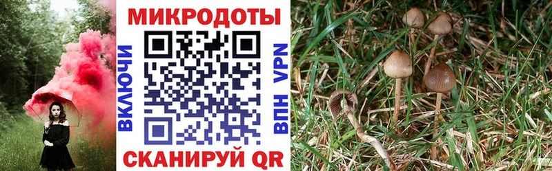 Галлюциногенные грибы MAGIC MUSHROOMS  Окуловка 